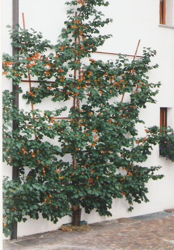 Landhaus Brigitta Ίνσμπρουκ Εξωτερικό φωτογραφία